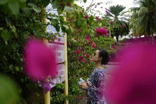 怎么去毛里求斯自由行旅游攻略,毛里求斯环岛路线