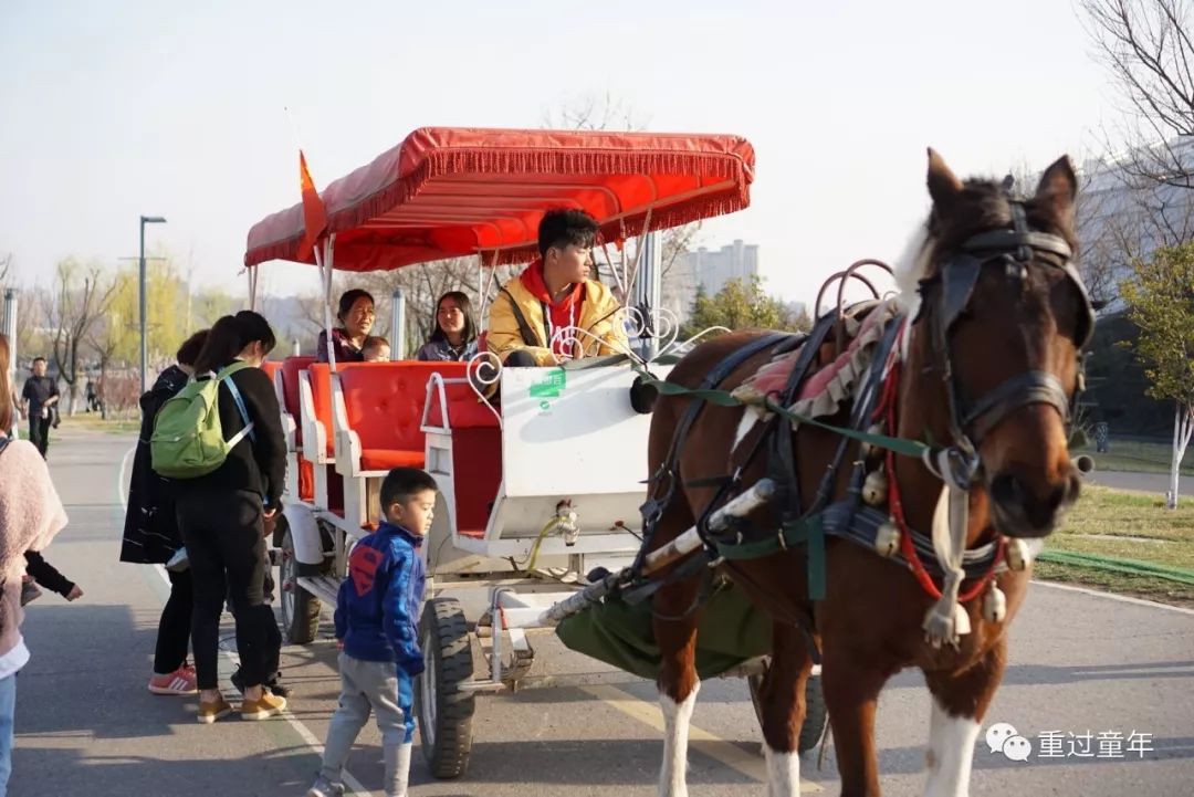 西安一个很有特色的公园,西安唯一要门票的公园