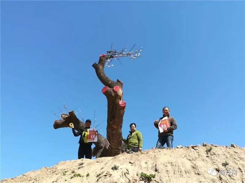 认准了！“懂菜农业”杯第七届黄河故道湿地花海徒步穿越路标已布置完成