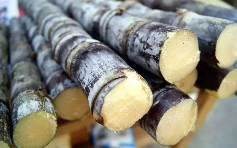 南充有什么特色好吃的可以带走的,南充有什么好吃的特产