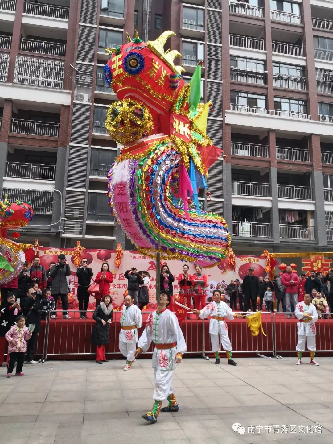 群龙聚首贺新春,青秀区国际传统舞龙邀请赛