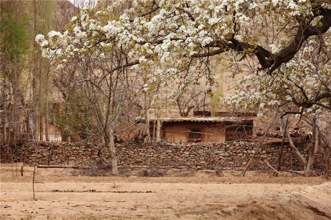 沙漠一年出现的奇观,沙漠黄河的奇景