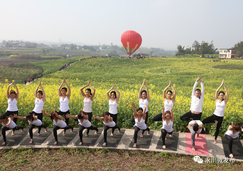 国务院表扬永川,国家对永川定位