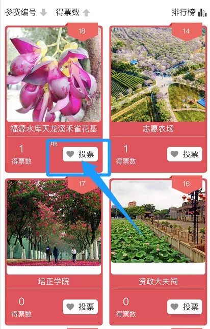 聚焦打通断头路,一条路串联旅游景点