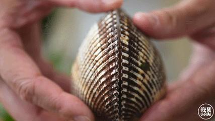 普吉岛芭东海滩泰式小火锅,普吉岛椰子岛网红