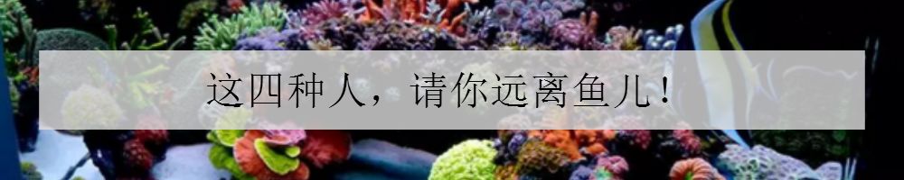 学生党20厘米小缸,学生后生可畏