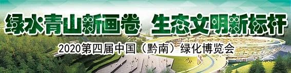 都匀61路公交线路查询,都匀11路公交线路怎样走