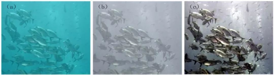 无滤镜呈现真实视觉,无滤镜真实自然风光