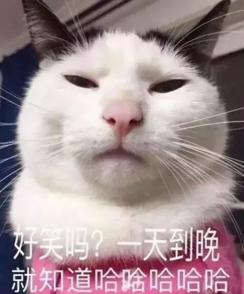 猫咪呜呜呜的叫是什么意思,猫咪呜呜呜的跑来跑去