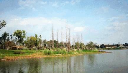 成都有锦城湖公园吗,成都锦城公园简介