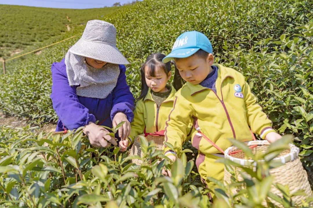 湖州一院清明节放假,湖州清明节各大医院放假安排