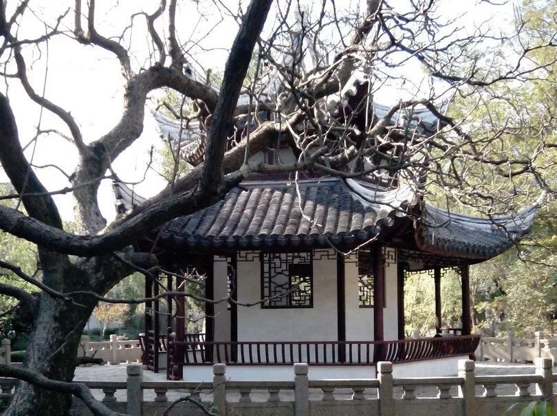 结棍！这个春天，是崇明撑起了魔都的体面！