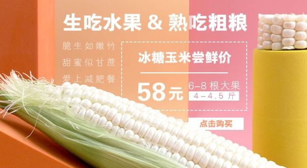 惠来客鸟尾“石笋区”+普宁“柜族小镇”+宝德寺一天游！仅需148元！