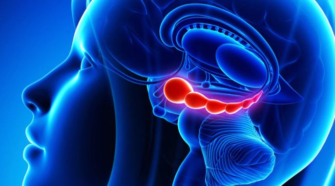 看恐怖片时解除恐惧的最好办法,看恐怖片必备的缓解害怕的视频