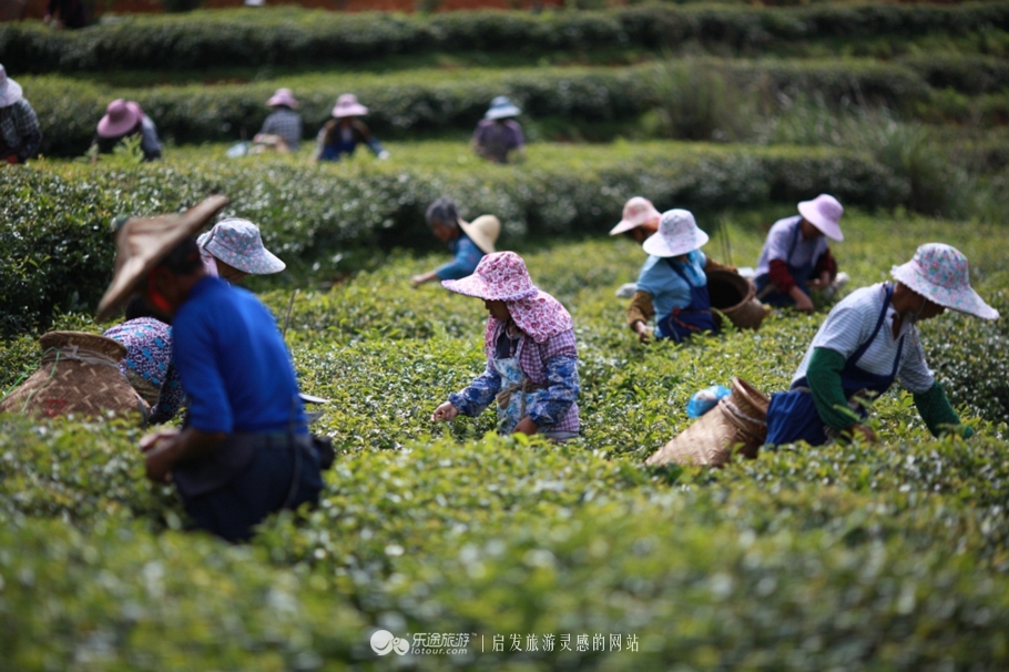 不止西湖,西湖十景龙井景区
