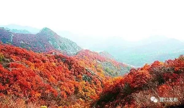 五一盖州游玩攻略带孩子,五一假期旅游安排表