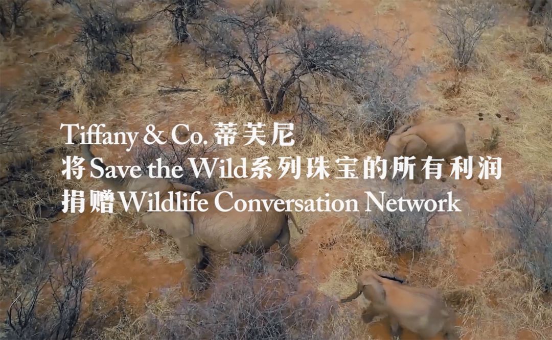 跟刘昊然在非洲过了6天5夜，发现他其实就是个话痨加多动症啊……