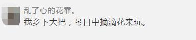 番禺最有代表性的植物是什么,农村到处都有的这种草竟然是个宝