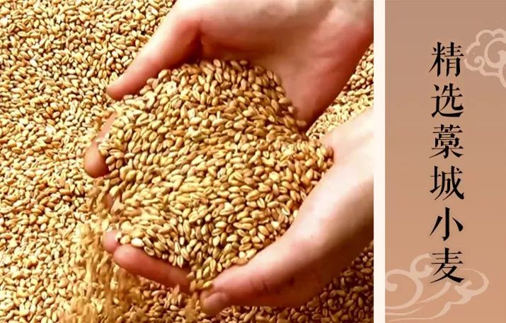 最简单实在的美味,都在这把有2000年历史的宫面里