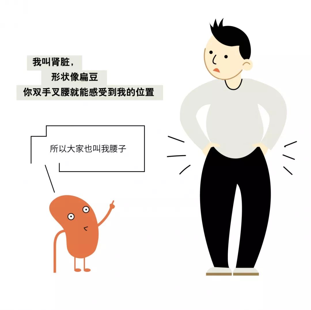 【名医】“我”是你的肾！最讨厌你吃太咸、熬夜……