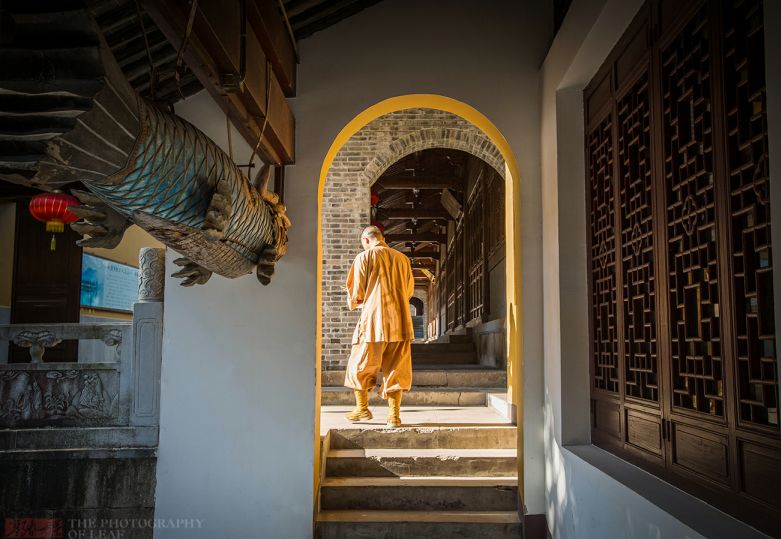 助力家乡发展旅游,助力家乡旅游业发展