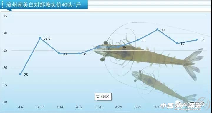 广东虾降价,今日江门虾价