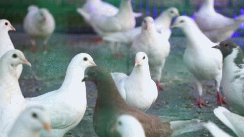 随手开个窗，女子竟染上了这种病...春天千万要当心！