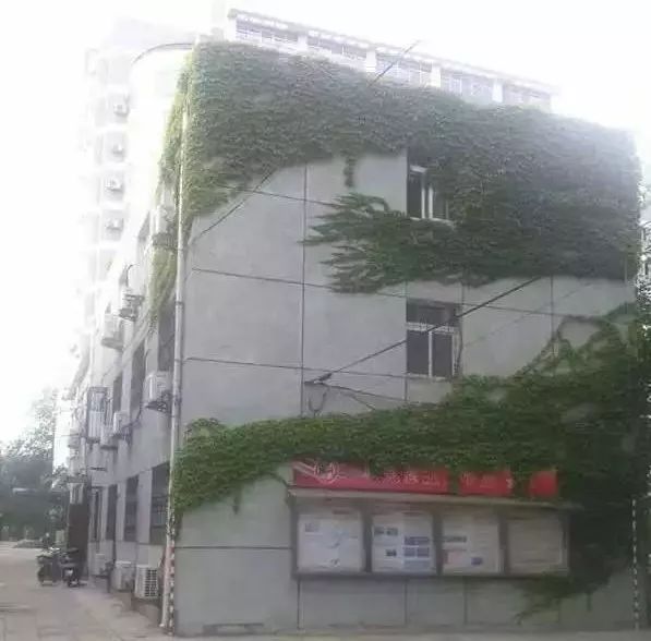 写给女孩子的一封情书,写给校区老师的一封信