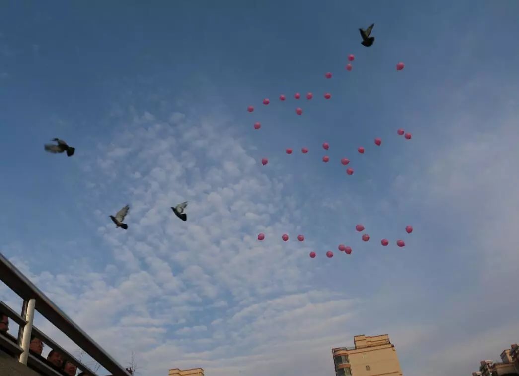 定格校园最美瞬间,明德初中第九届田径运动会