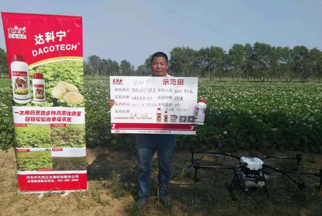 达科宁杀菌剂,达科宁百菌清杀菌剂