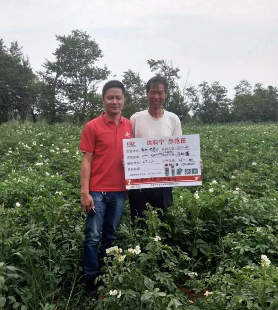 达科宁杀菌剂,达科宁百菌清杀菌剂