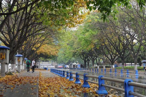 【独家重磅】四川大学:转专业政策友善创新人才培养体系助力本科生在校发表sci论文