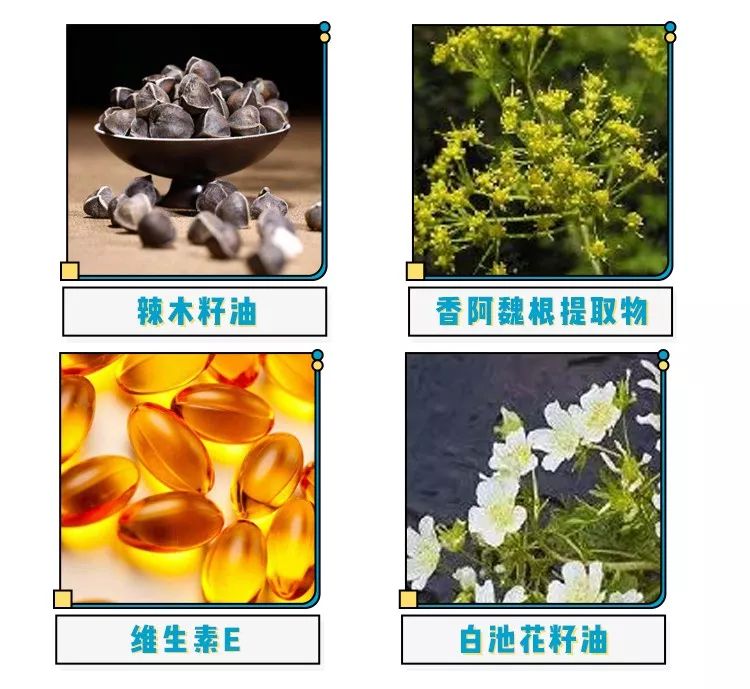 防晒乳特价,防晒团购