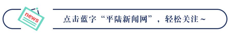 平陆：白牡丹“梧桐”引“凤”富村民