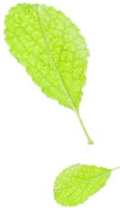 网上购买药在什么平台注意安全,网上药店购买药品注意事项