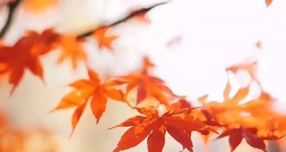 中风为什么十天之内会越来越严重,中风进医院为什么越来越严重