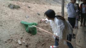 丹江口斗鱼,斗鱼之路丹江口