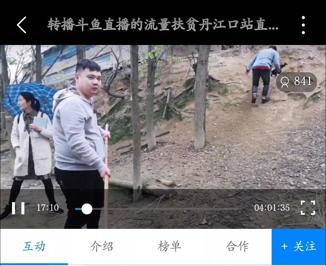 丹江口斗鱼,斗鱼之路丹江口