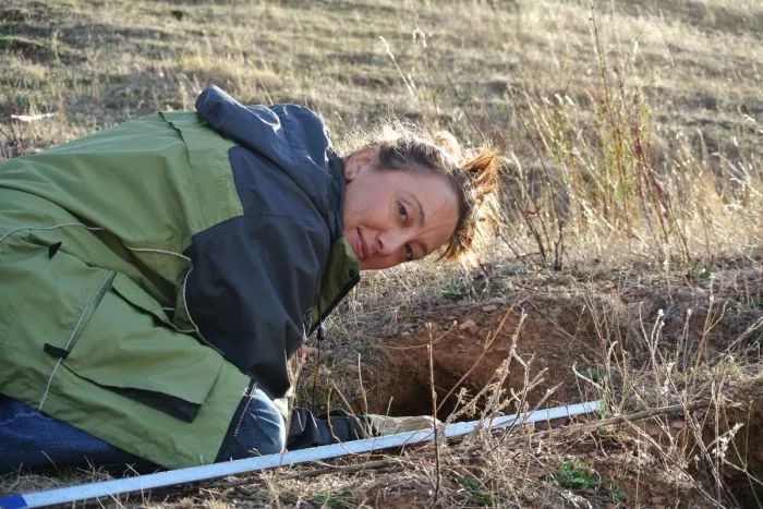 澳洲野兔泛滥成灾到底有多疯狂,澳洲野兔泛滥成灾数量超100亿只
