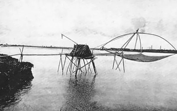 上海人吃老酒口头禅,上海人吃的鱼