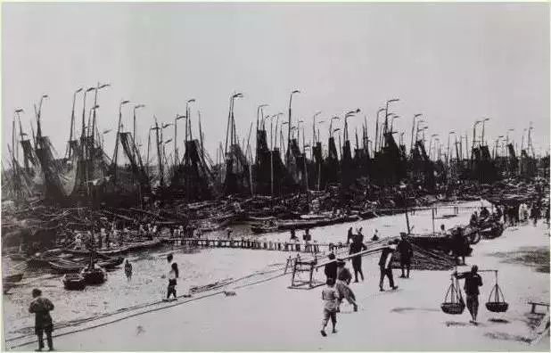 上海人吃老酒口头禅,上海人吃的鱼