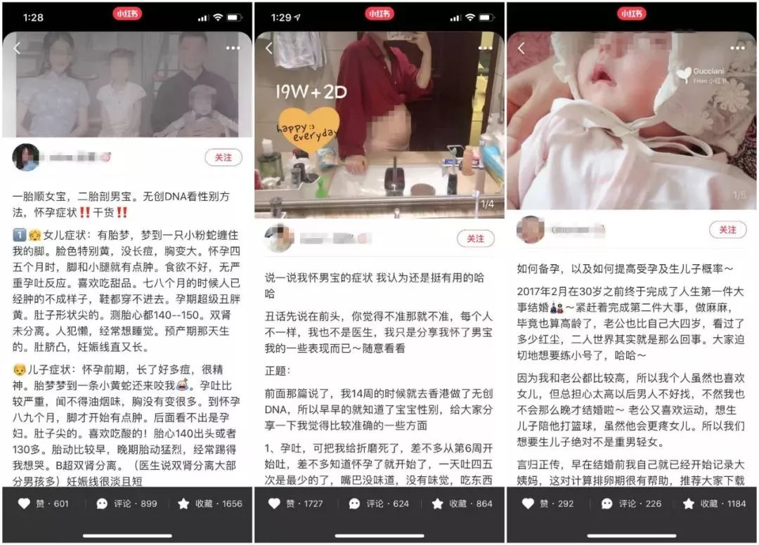 小红书红又红,小红书的各个版本