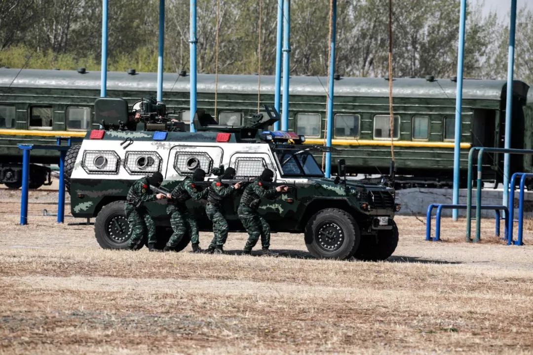 鹰击长空图片,鹰击长空完整版