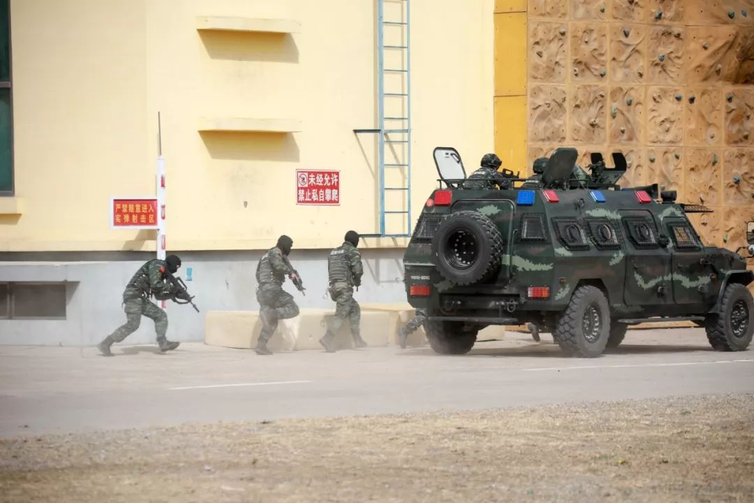 鹰击长空图片,鹰击长空完整版