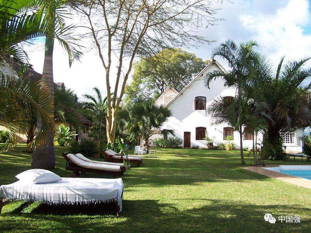 探索非洲动物世界|非洲—坦桑尼亚