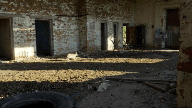 bbc经典必看十大纪录片,bbc十大经典纪录片9.9