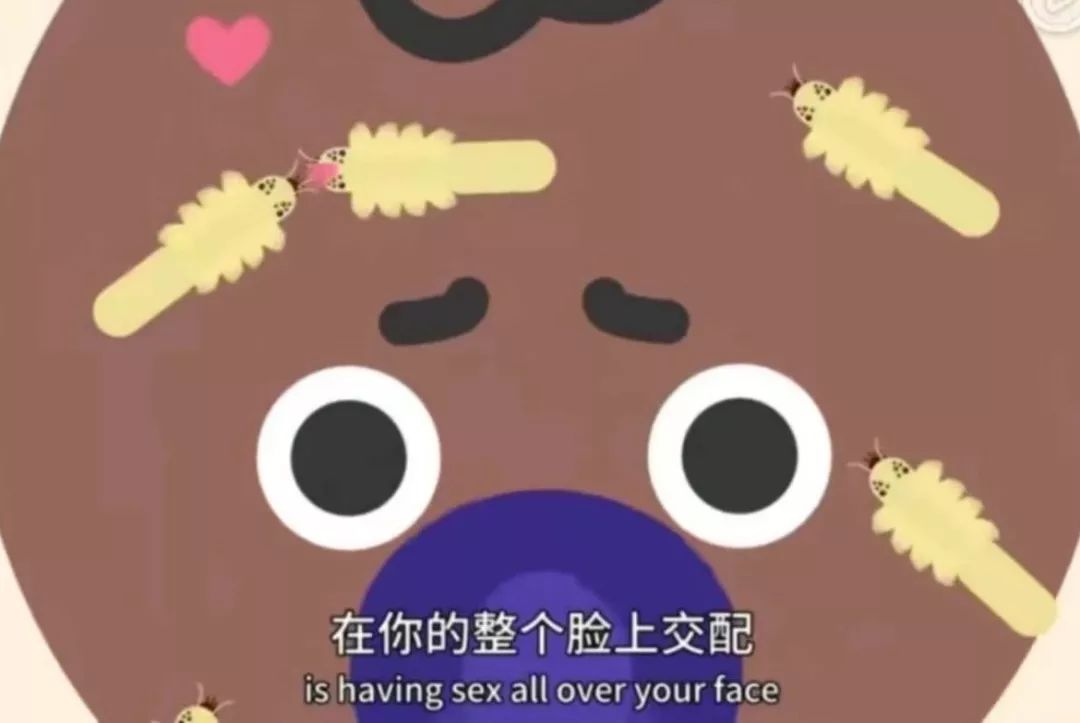 大量的螨虫,成千上万只螨虫看得见吗