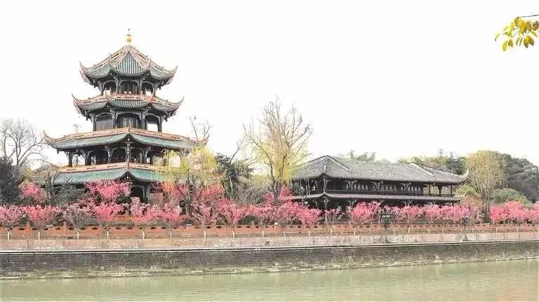 成都老照片视频播放,四川成都一楼老照片