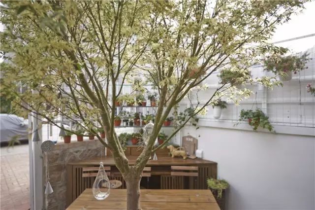 他用14天改造6口之家，只为给她一线生机！