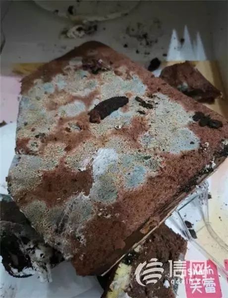 笑蕾黑天鹅蛋糕,笑蕾蛋糕长毛